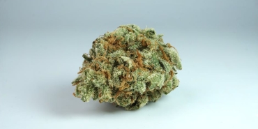 Fenomen-Bilal-Hanci8217dan-Uyusturucu-Itirafi-8216Amsterdam8217da-Basladim8217-featured