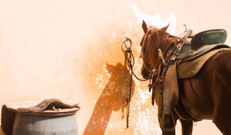 Brezilya-Selleri-Can-Aldi-Rio8217da-Olaganustu-Hal-Ilan-Edildi-featured