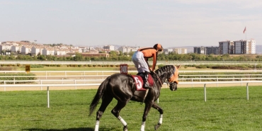 Sakarya8217da-Otomobil-At-Arabasina-Carpti-5-Yarali-featured